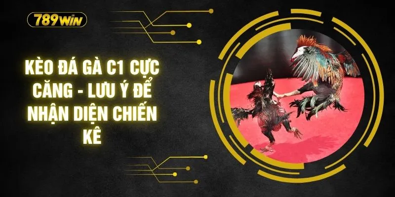 Kèo Đá Gà C1 Cực Căng - Lưu Ý Để Nhận Diện Chiến Kê