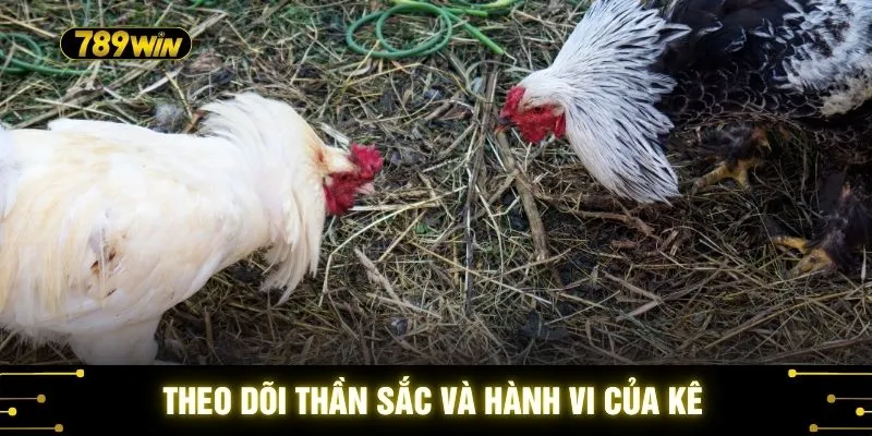 Theo dõi thần sắc và hành vi của kê